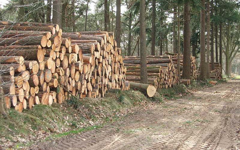 houtmarkt - hout verkopen