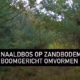 Video bosomvorming via boomgericht bosbeheer: een praktijkvoorbeeld